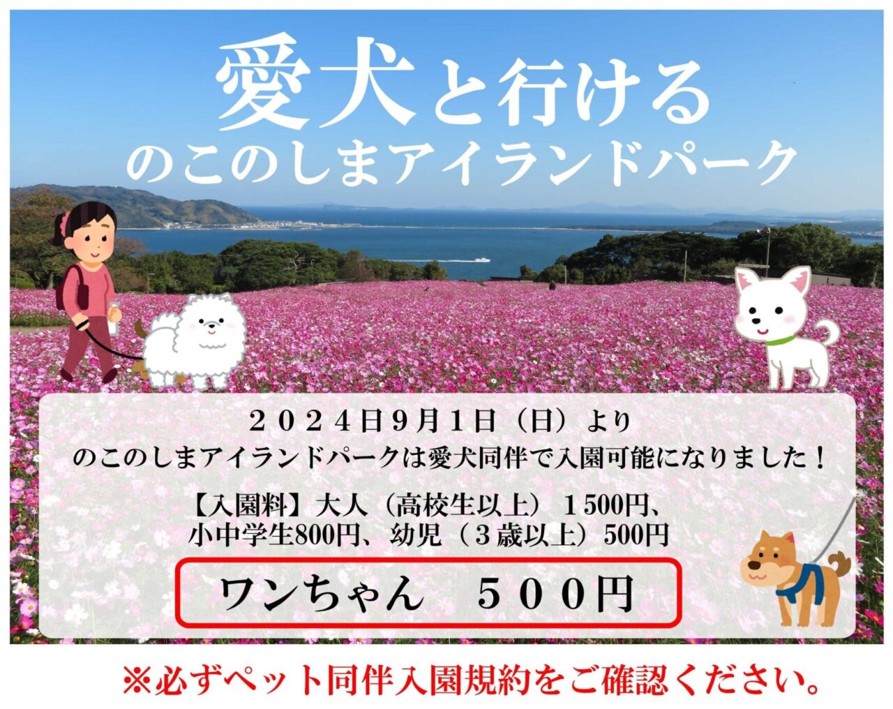 2024年9月より「のこのしまアイランドパーク」では、愛犬同伴で入場が可能になりました。さらに、2024年10月上旬より「コスモス」が見頃を迎える予定です。