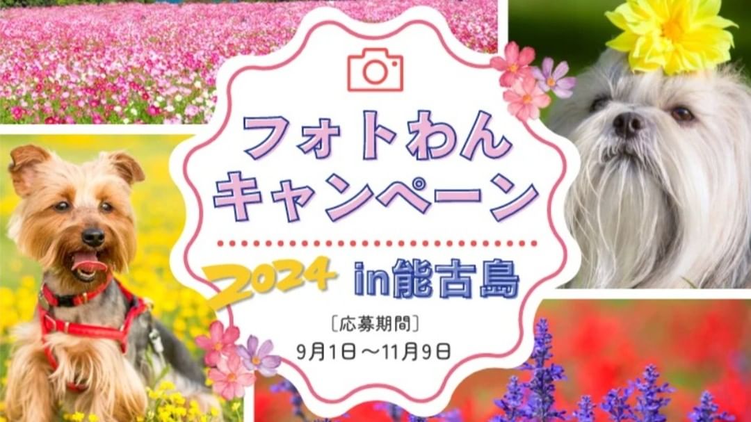 2024年9月より「のこのしまアイランドパーク」では、愛犬同伴で入場が可能になりました。さらに、2024年10月上旬より「コスモス」が見頃を迎える予定です。