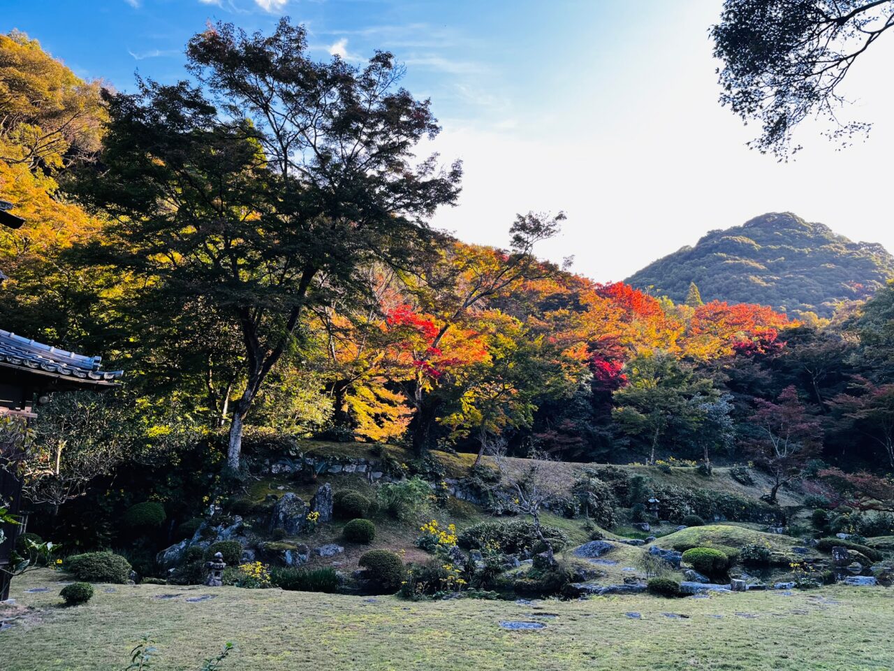 2024年清水寺本坊庭園の紅葉