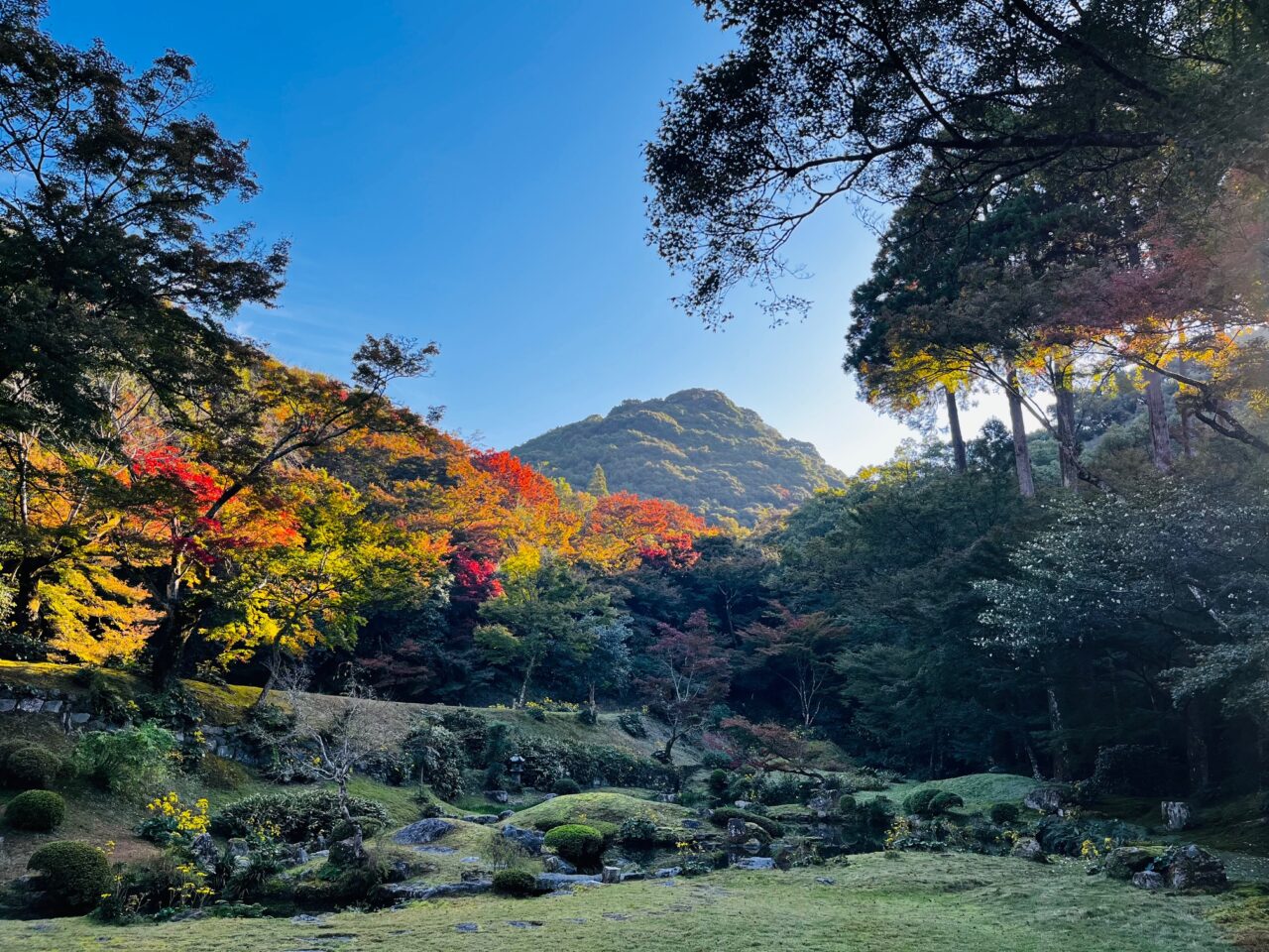 2024年清水寺本坊庭園の紅葉