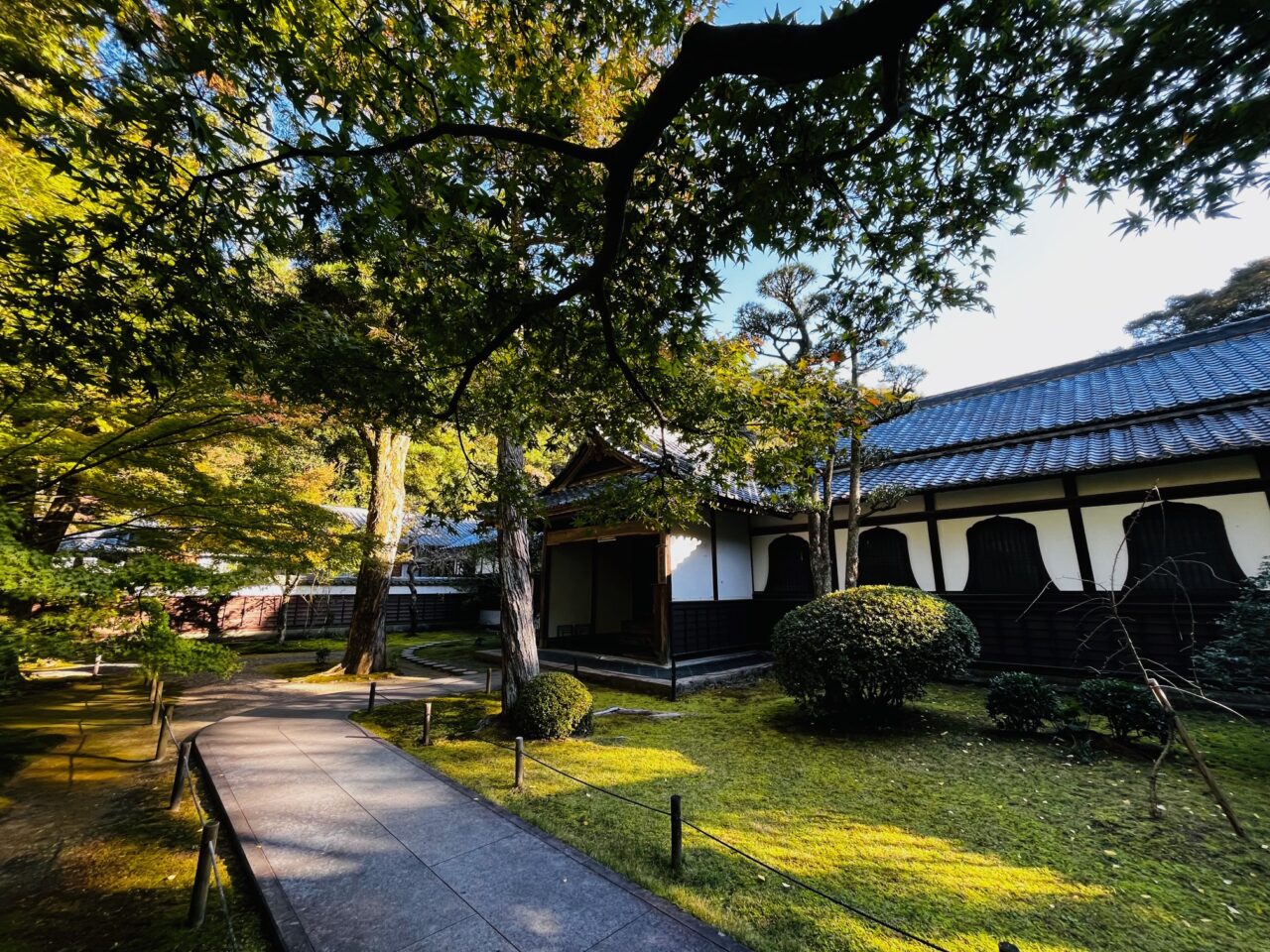 2024年清水寺本坊庭園の紅葉