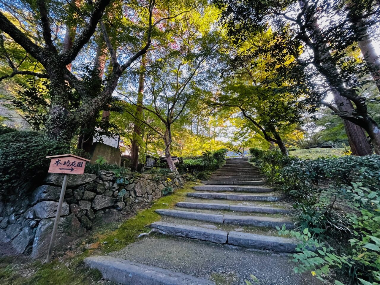 2024年清水寺本坊庭園の紅葉