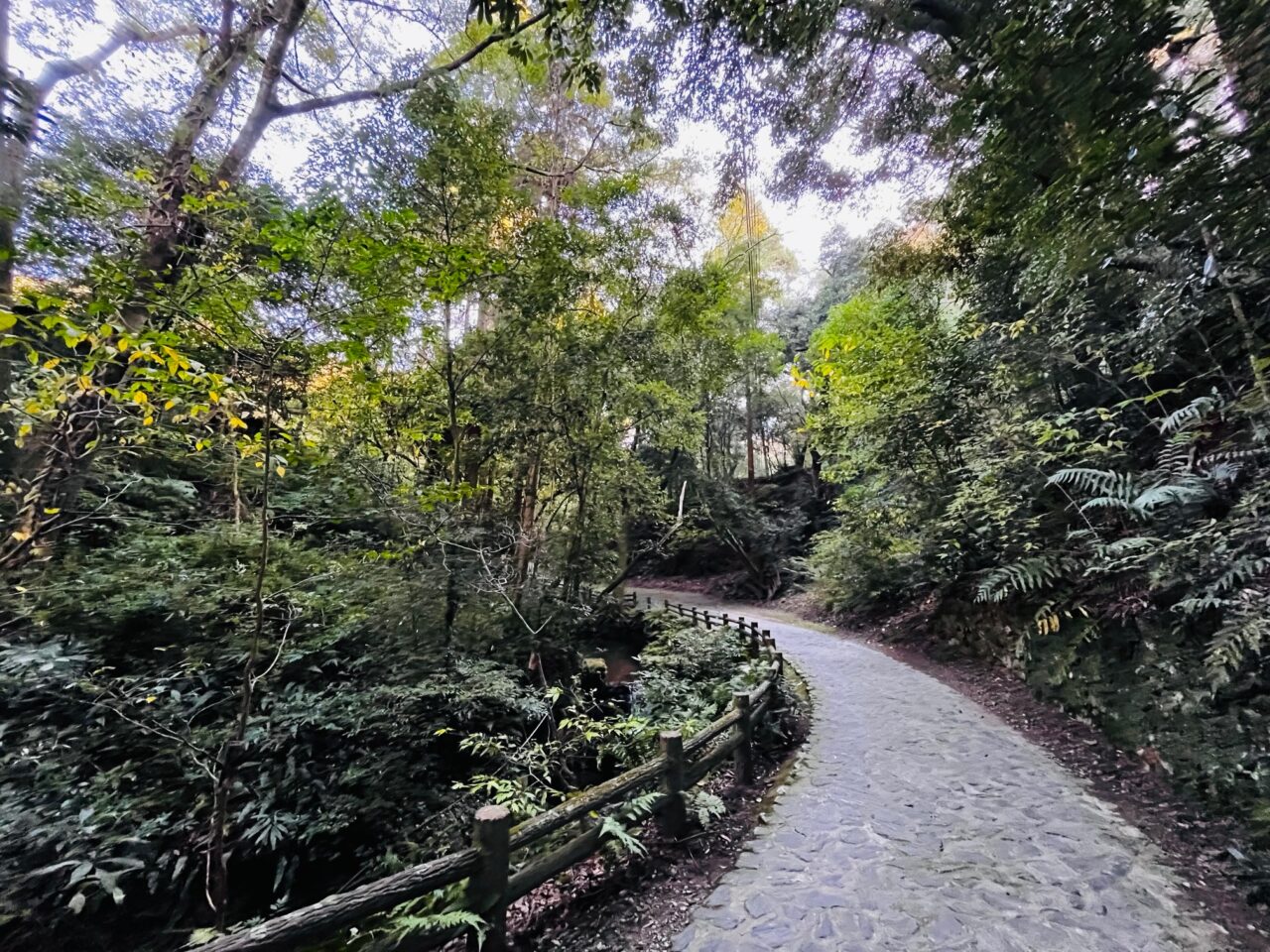 2024年清水寺本坊庭園の紅葉