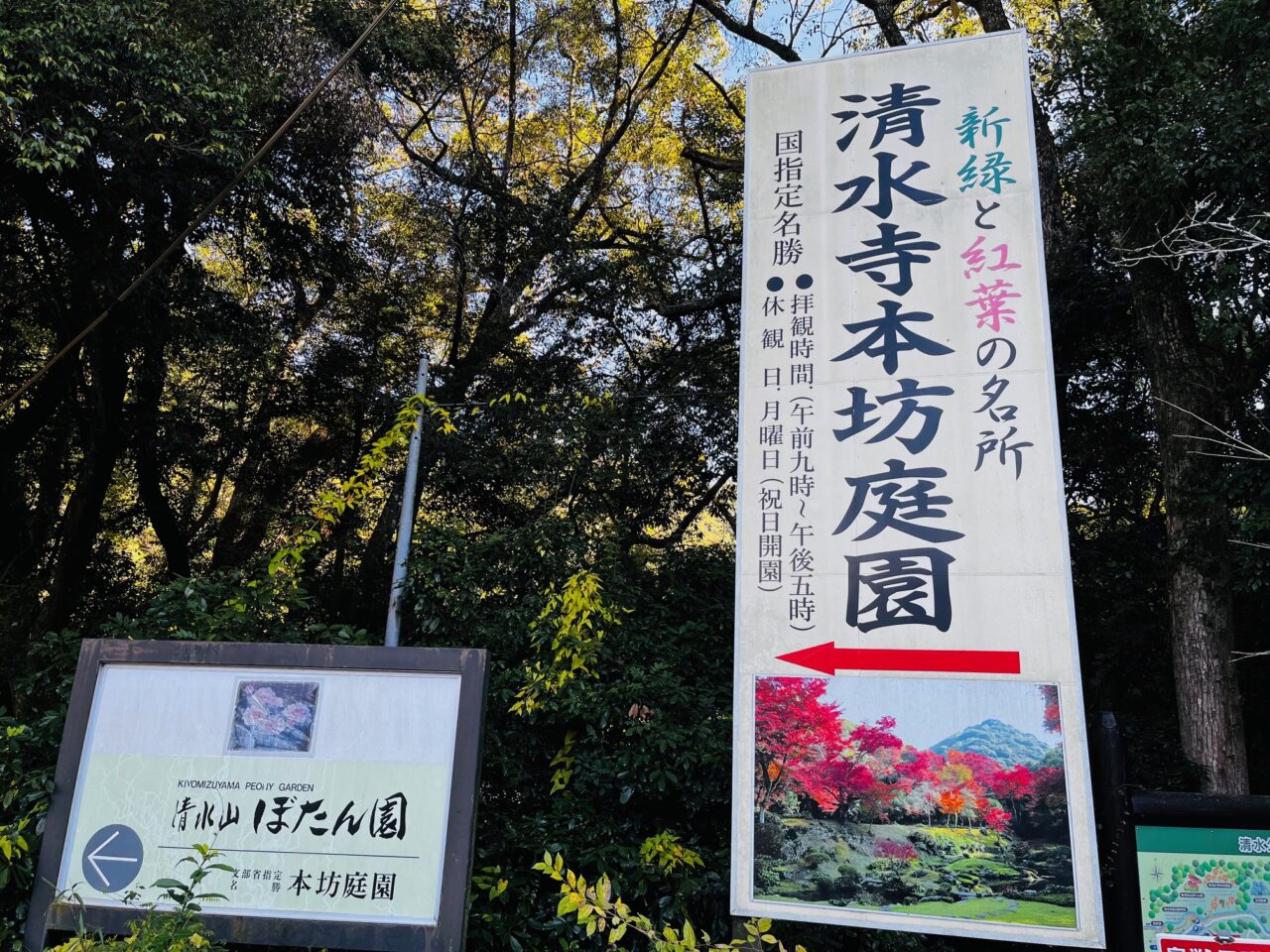 2024年清水寺本坊庭園の紅葉