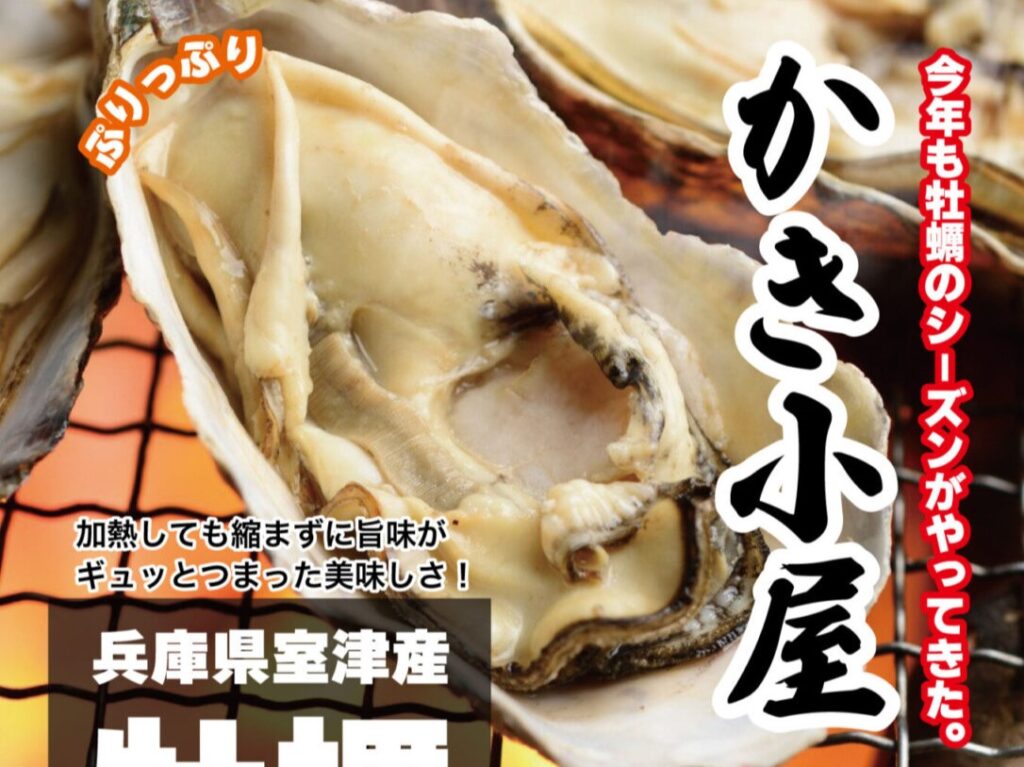 2024年11月5日(火)より、西戸崎の「ロングバケーションリゾート」では、兵庫県室津産の「牡蠣食べ放題60分」が、3,500円(税込)で楽しめます。
