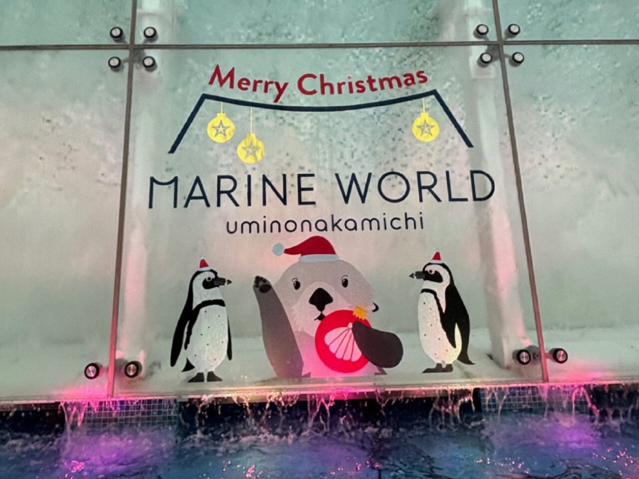 2024年12月24日(火)・12月25日(水)に、マリンワールド海の中道にて「クリスマスナイト」が開催予定です。