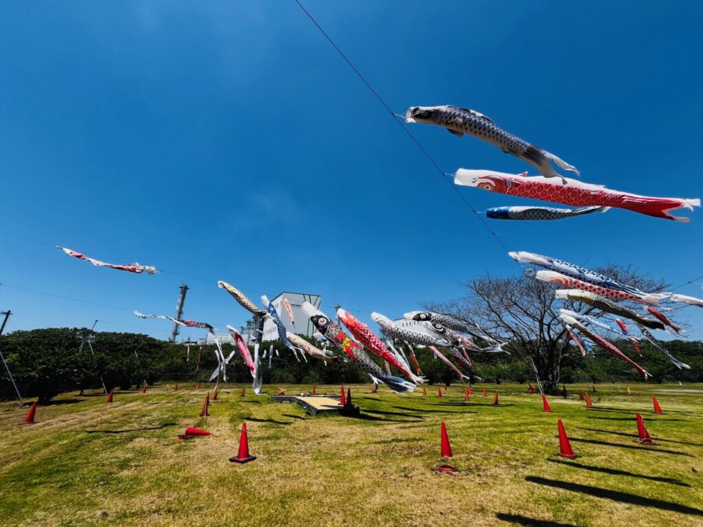 2025年大牟田三川坑の鯉のぼり