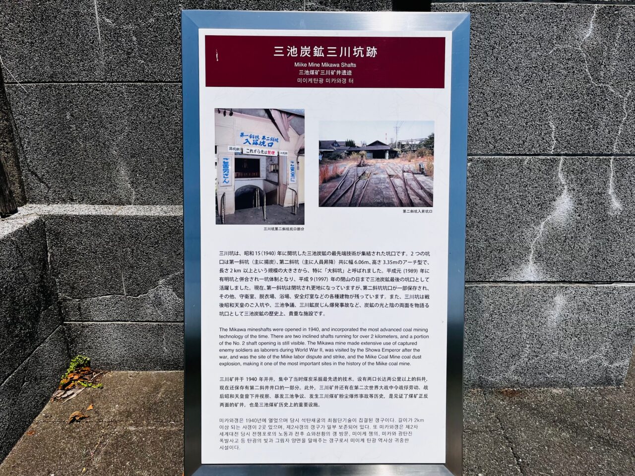 2025年大牟田三川坑の鯉のぼり