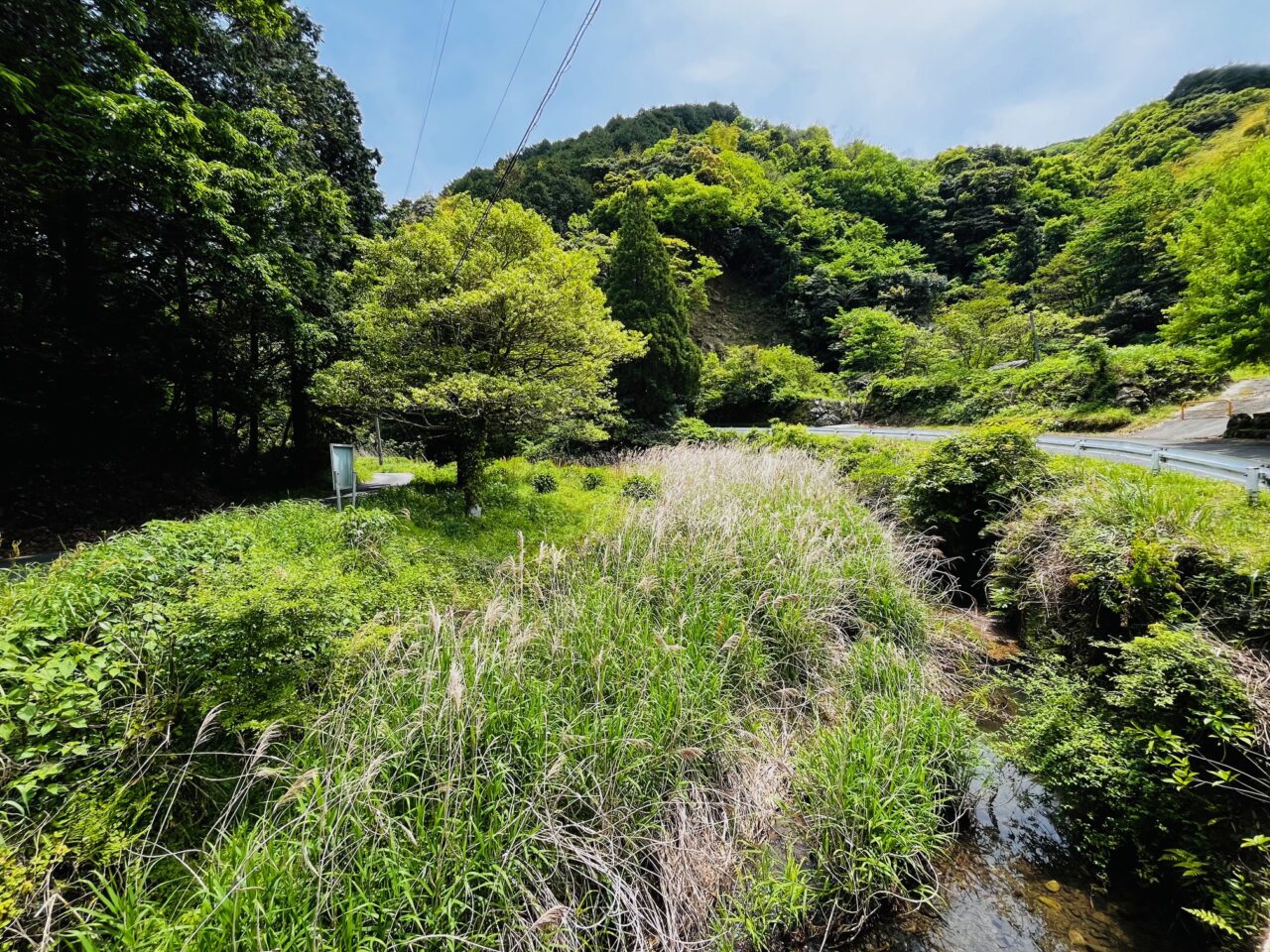 2025年みやま市の山川ほたる鑑賞