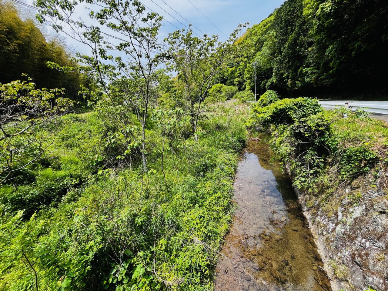 2025年みやま市の山川ほたる鑑賞