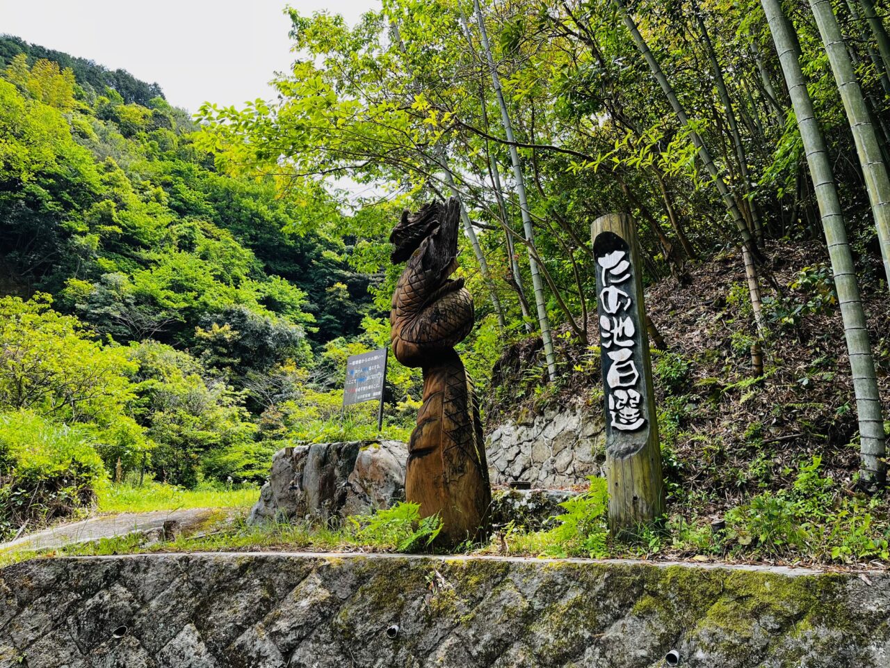 2025年みやま市の山川ほたる鑑賞