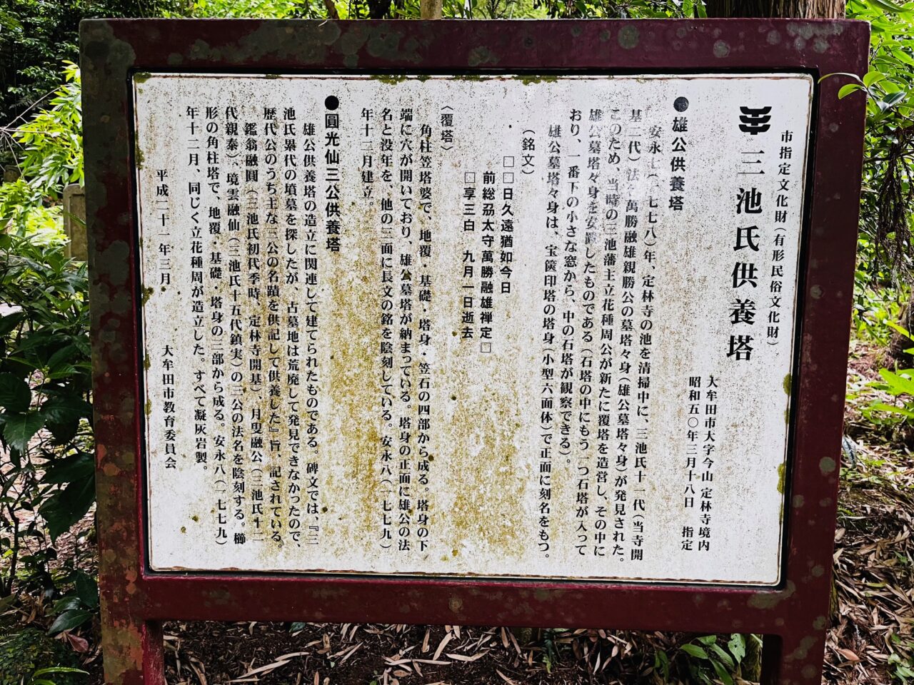 2025年大牟田の定林寺のあじさい