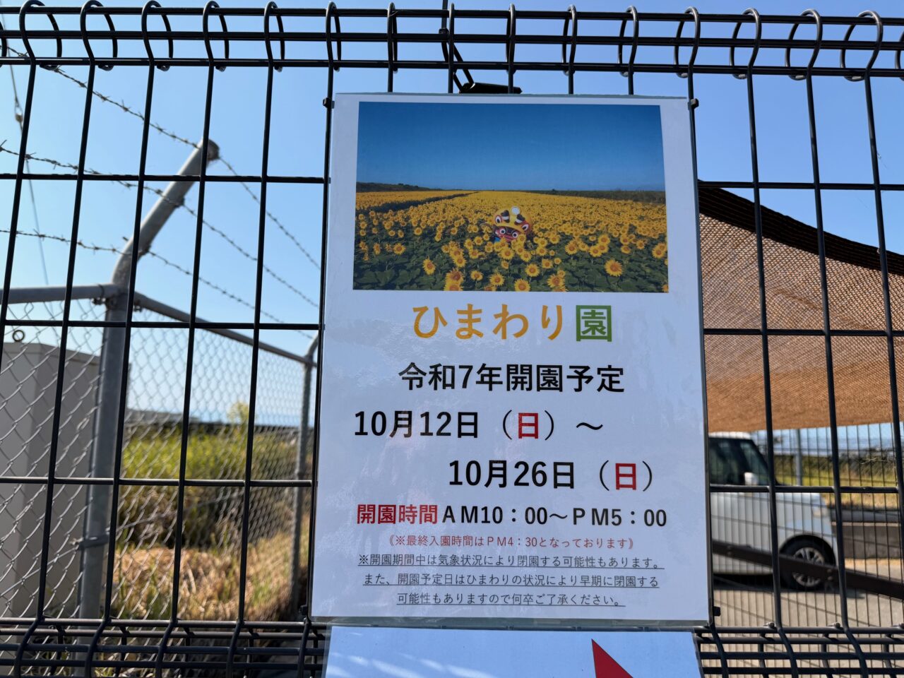 2025年秋の大牟田ひまわり園