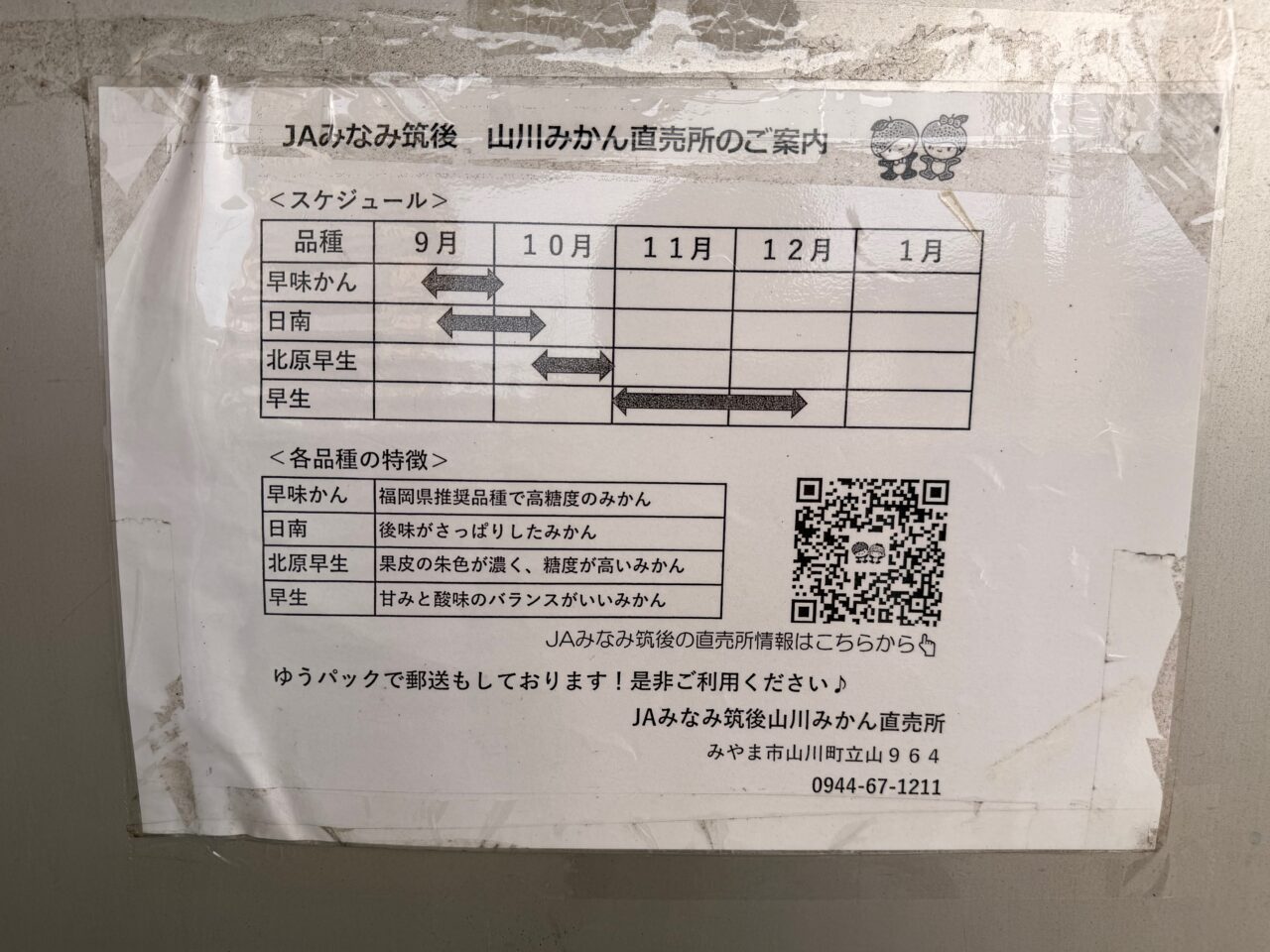 2025年みやま市山川町の山川みかん直売所