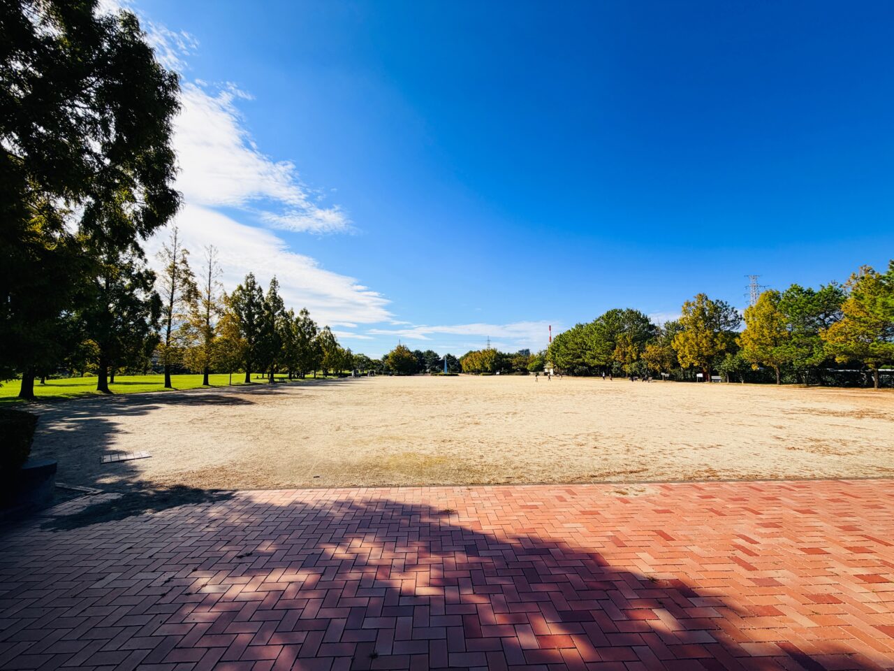 2025年大牟田の諏訪公園