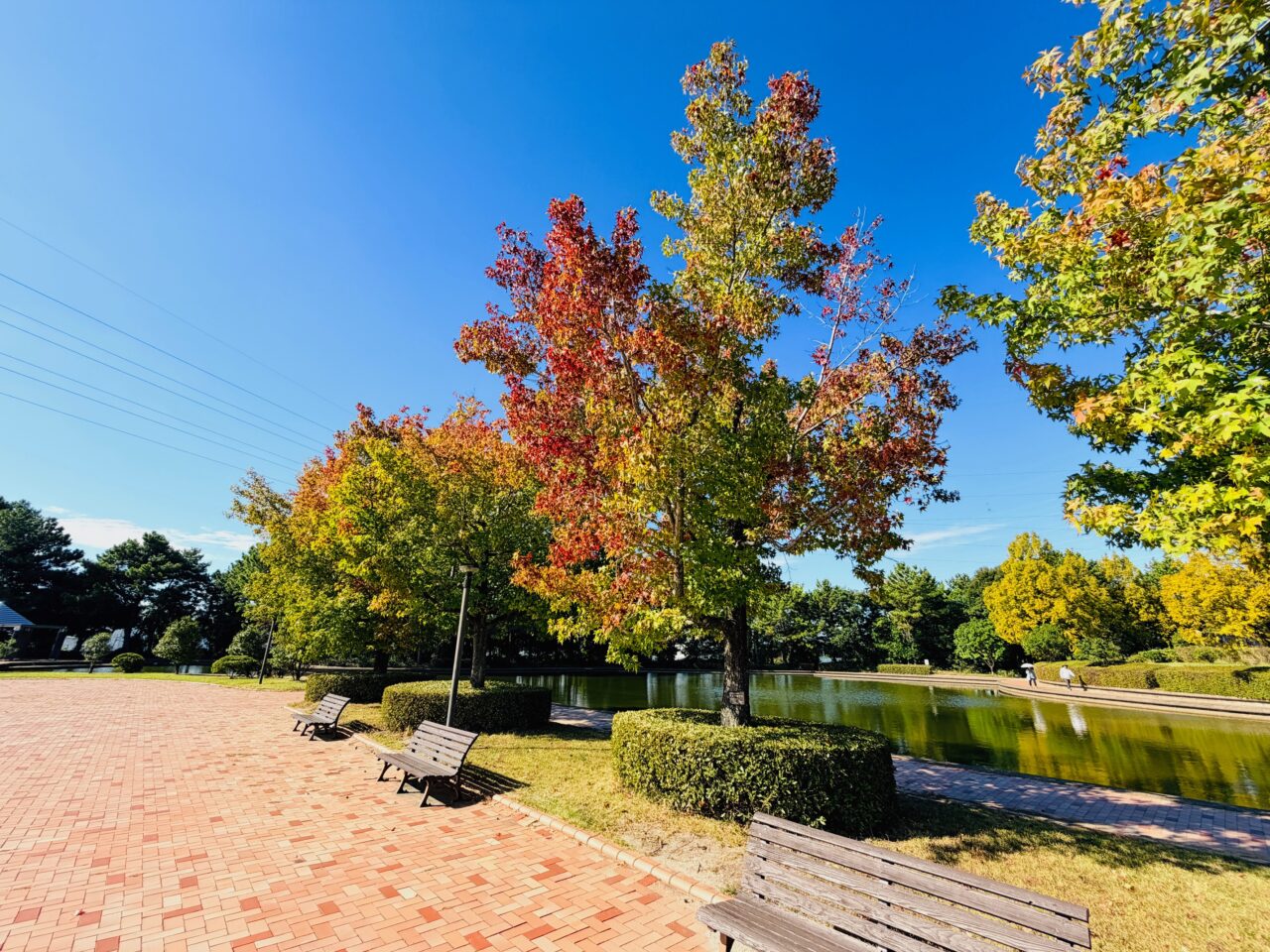 2025年大牟田の諏訪公園