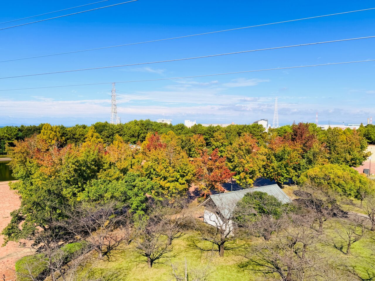 2025年大牟田の諏訪公園