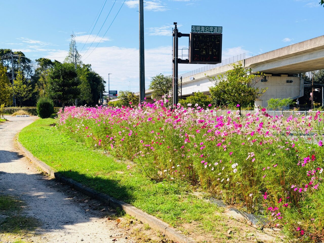 2025年大牟田の諏訪公園