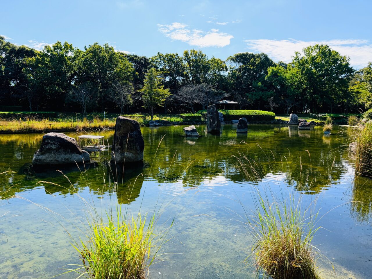 2025年大牟田の諏訪公園