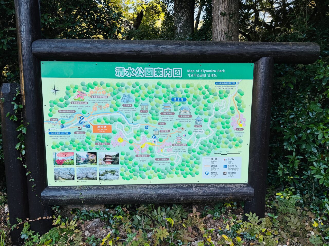 2025年みやま市清水寺本坊庭園の紅葉