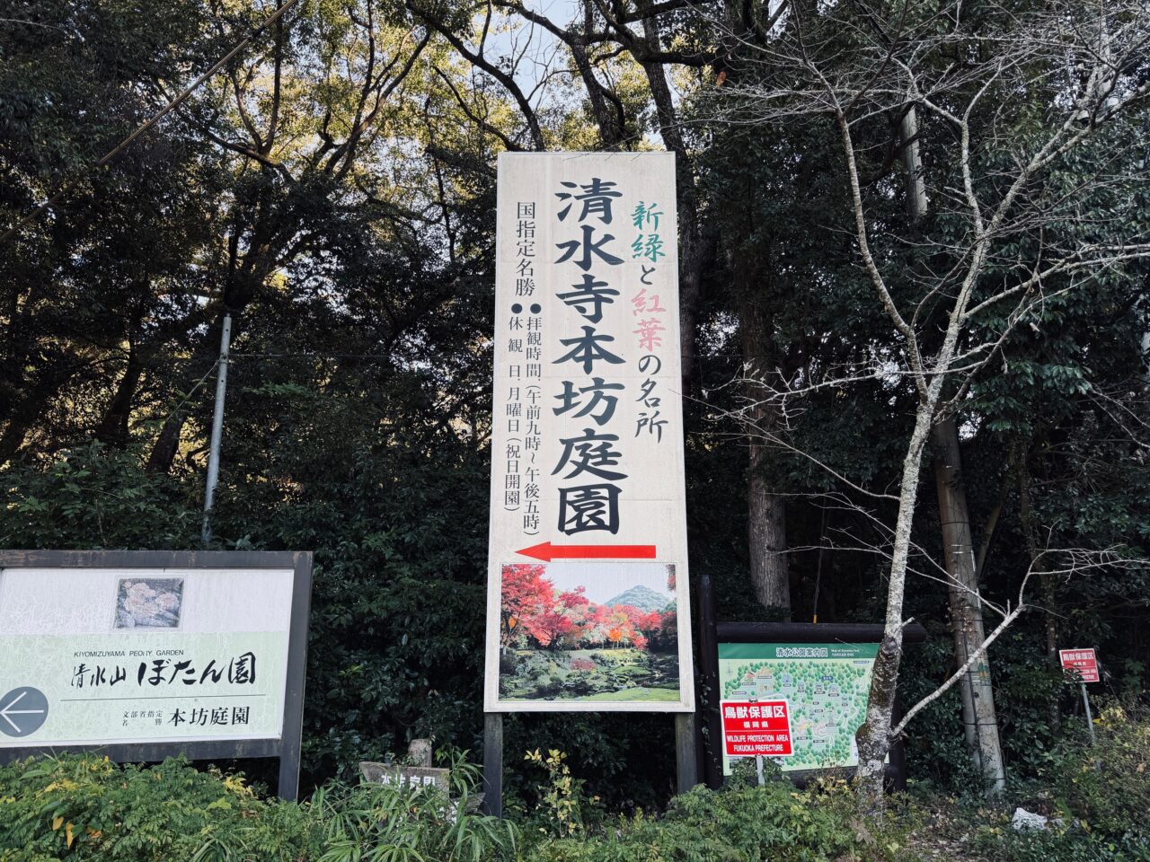 2025年みやま市清水寺本坊庭園の紅葉