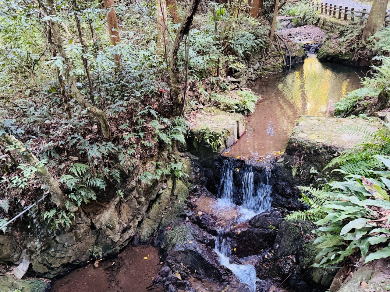 2025年みやま市清水寺本坊庭園の紅葉