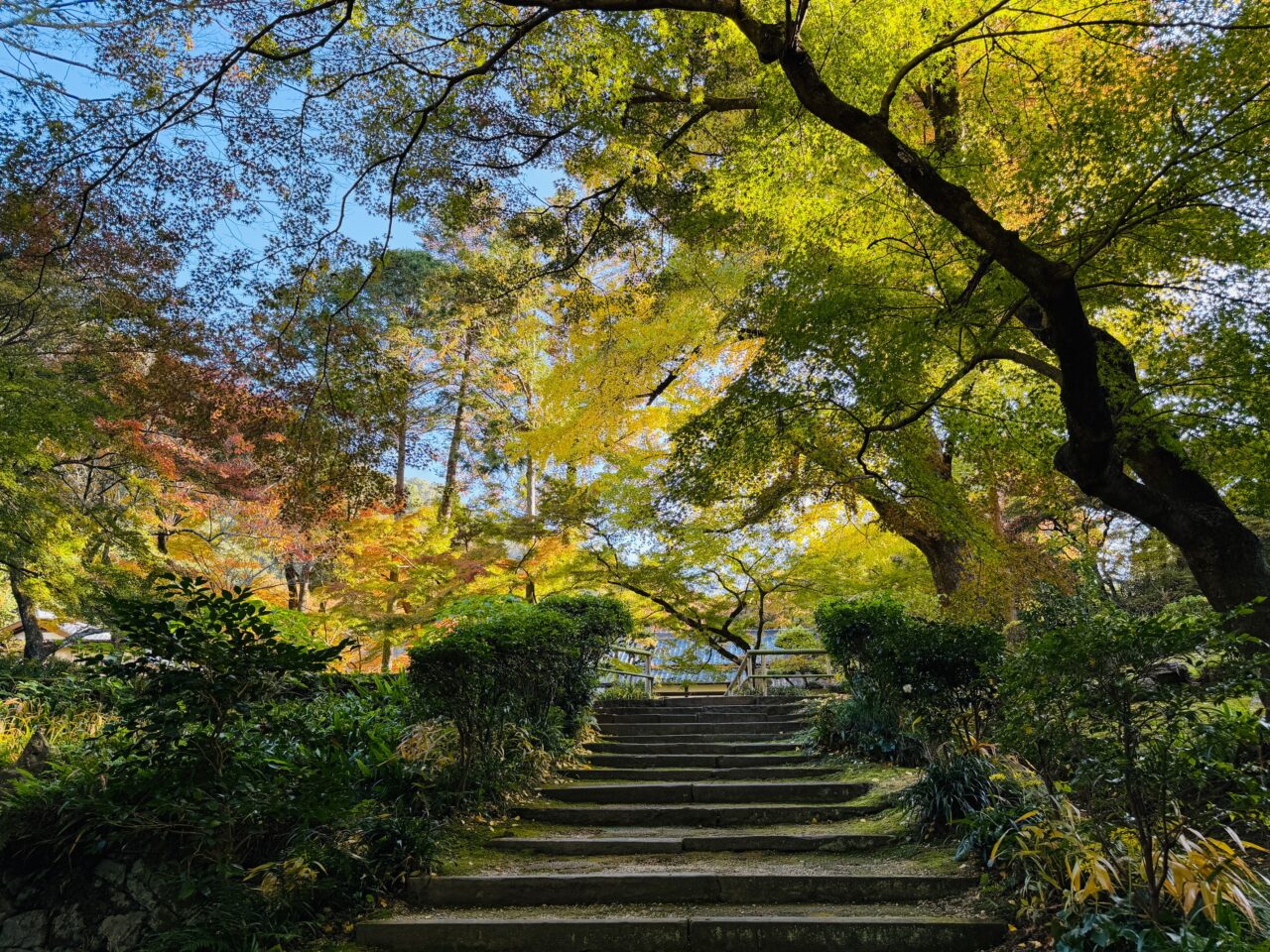 2025年みやま市清水寺本坊庭園の紅葉