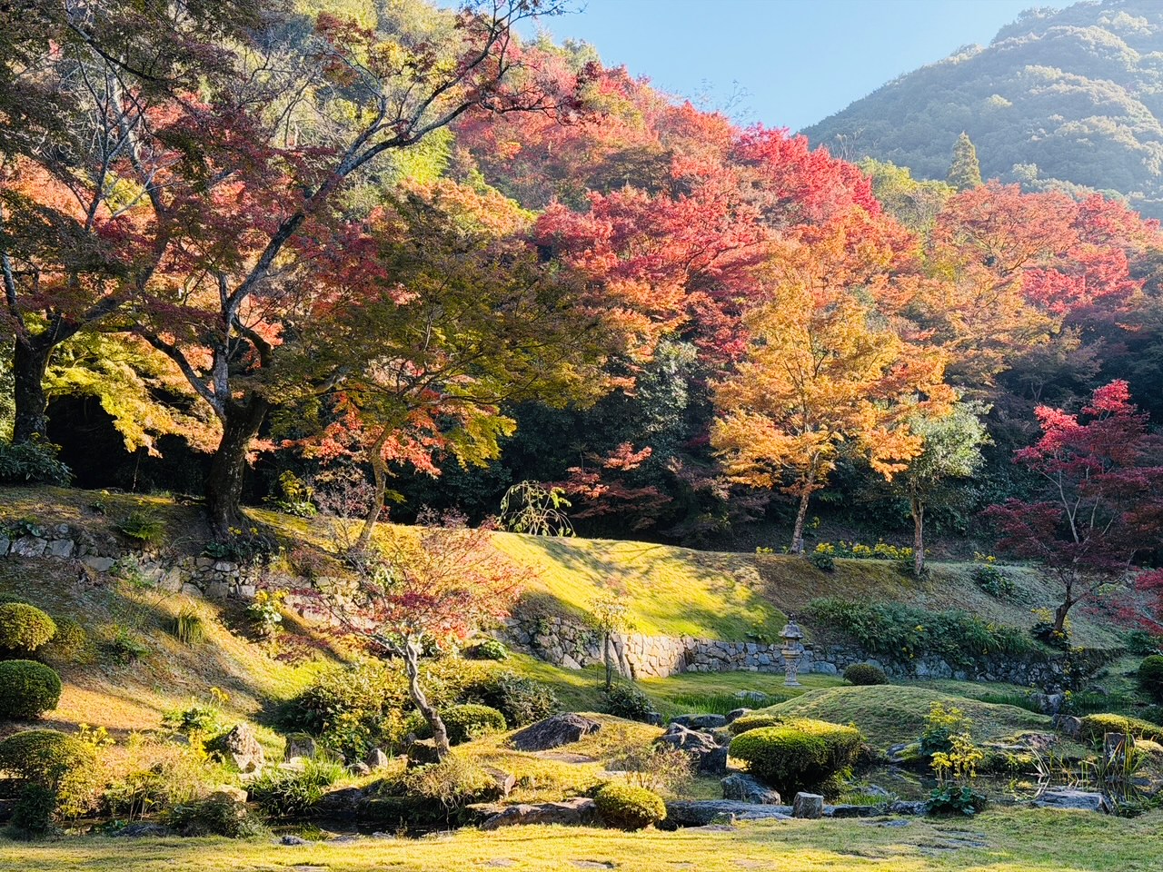 2025年みやま市清水寺本坊庭園の紅葉