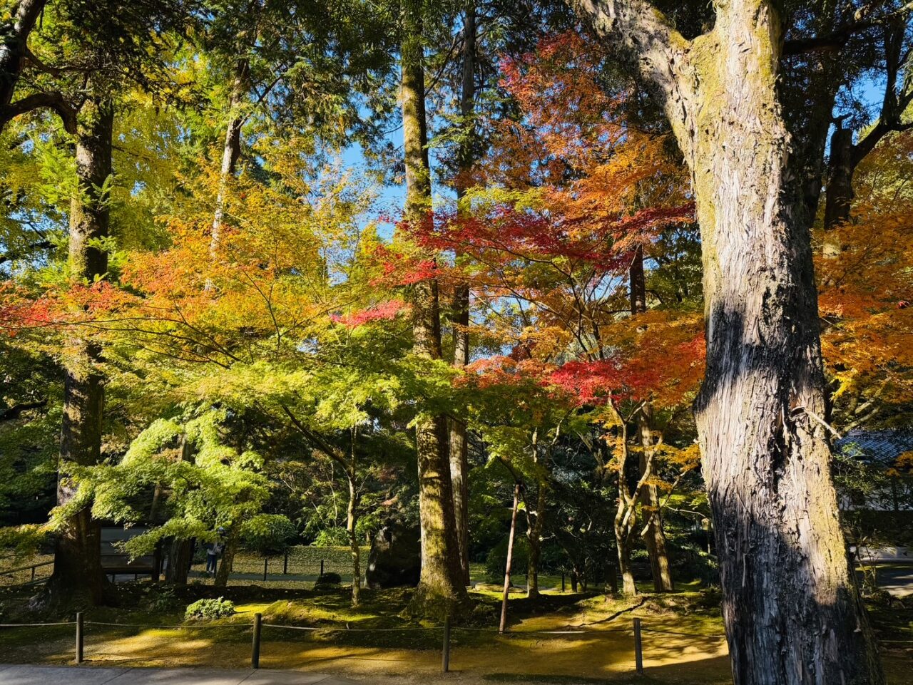 2025年みやま市清水寺本坊庭園の紅葉