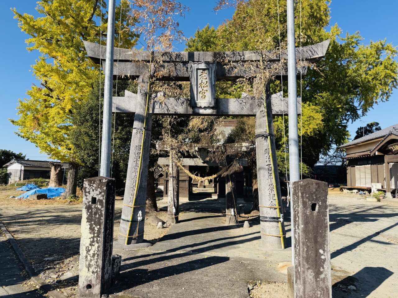 2025年みやまの長田の大銀杏