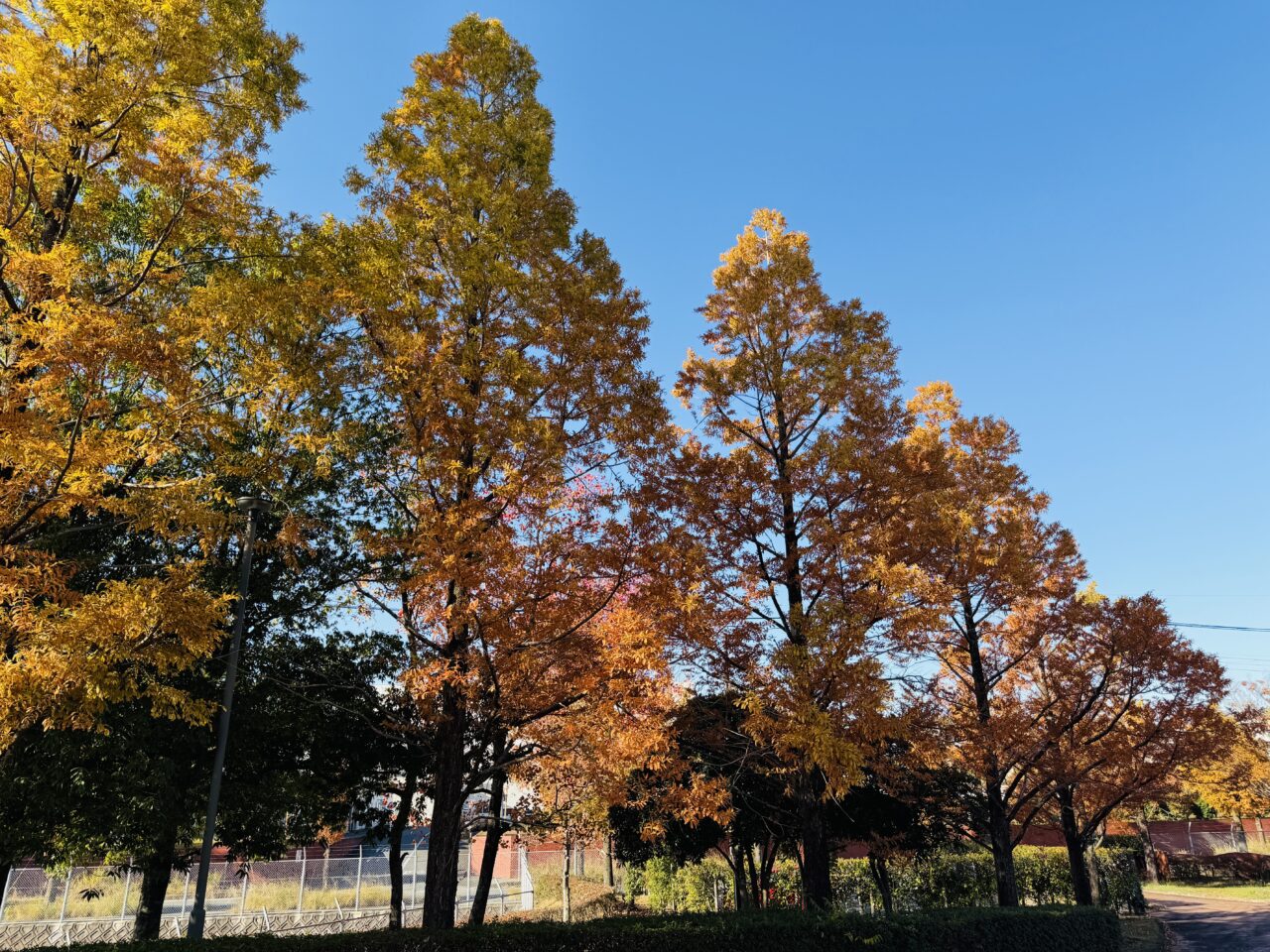 2025年大牟田の宮浦石炭記念公園