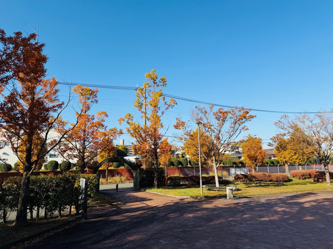 2025年大牟田の宮浦石炭記念公園