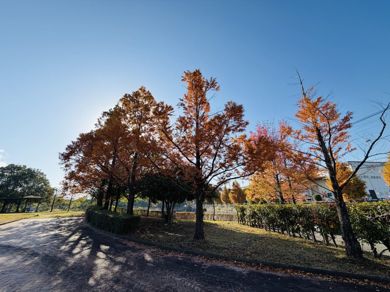 2025年大牟田の宮浦石炭記念公園