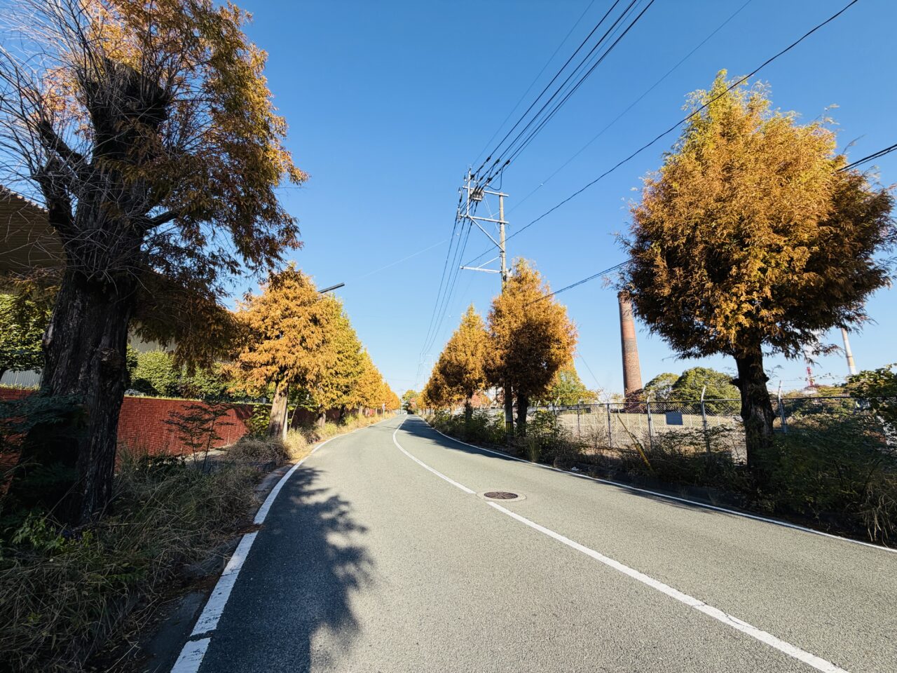 2025年大牟田の宮浦石炭記念公園