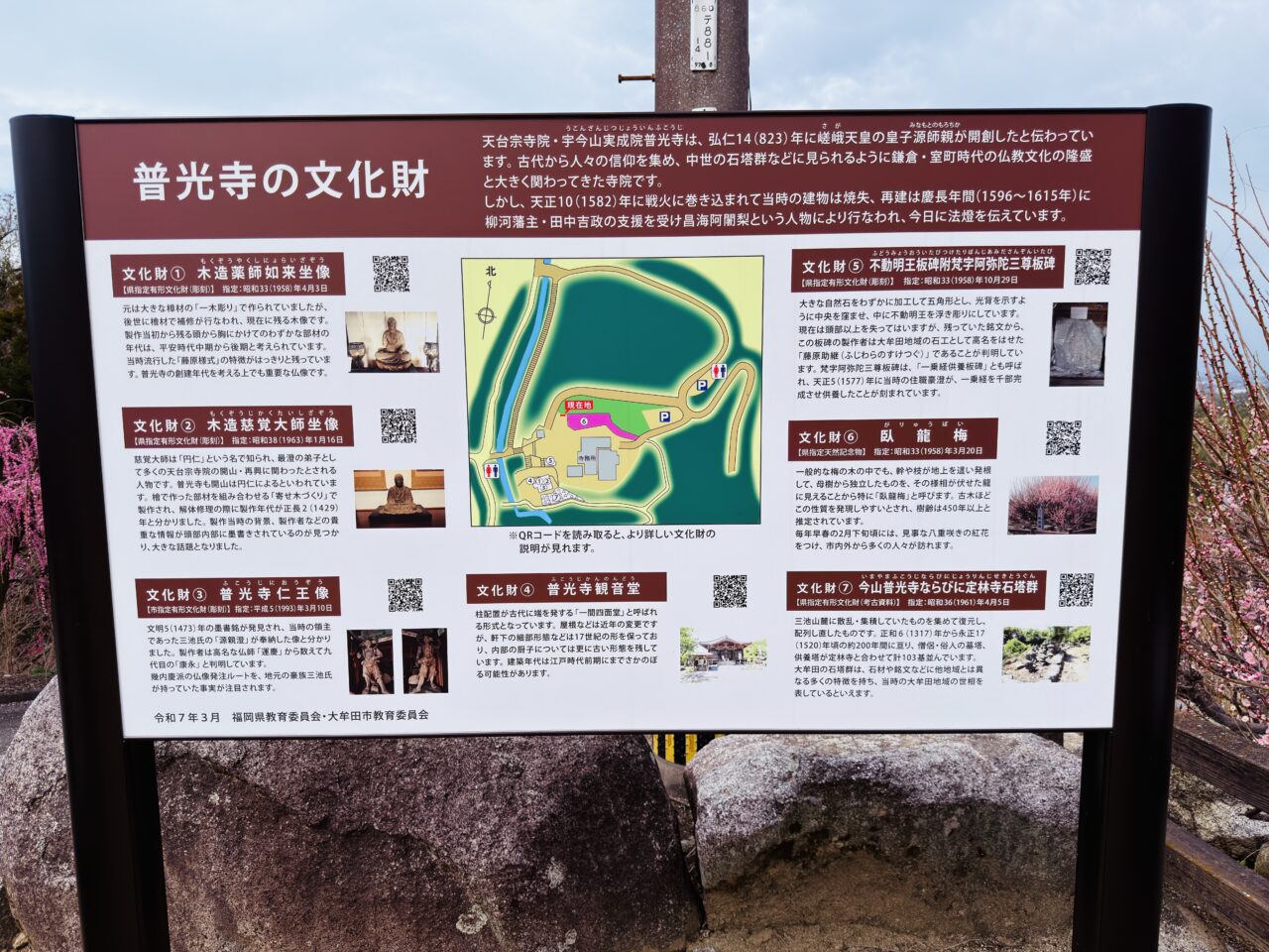 2026年大牟田普光寺の臥龍梅