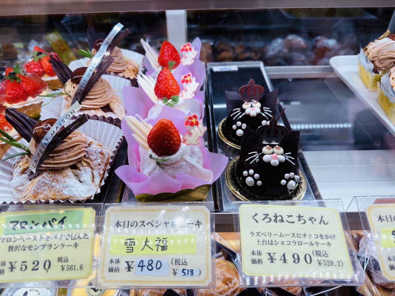 2026年2月22日猫の日のみやま市のふぉれすときゃっと