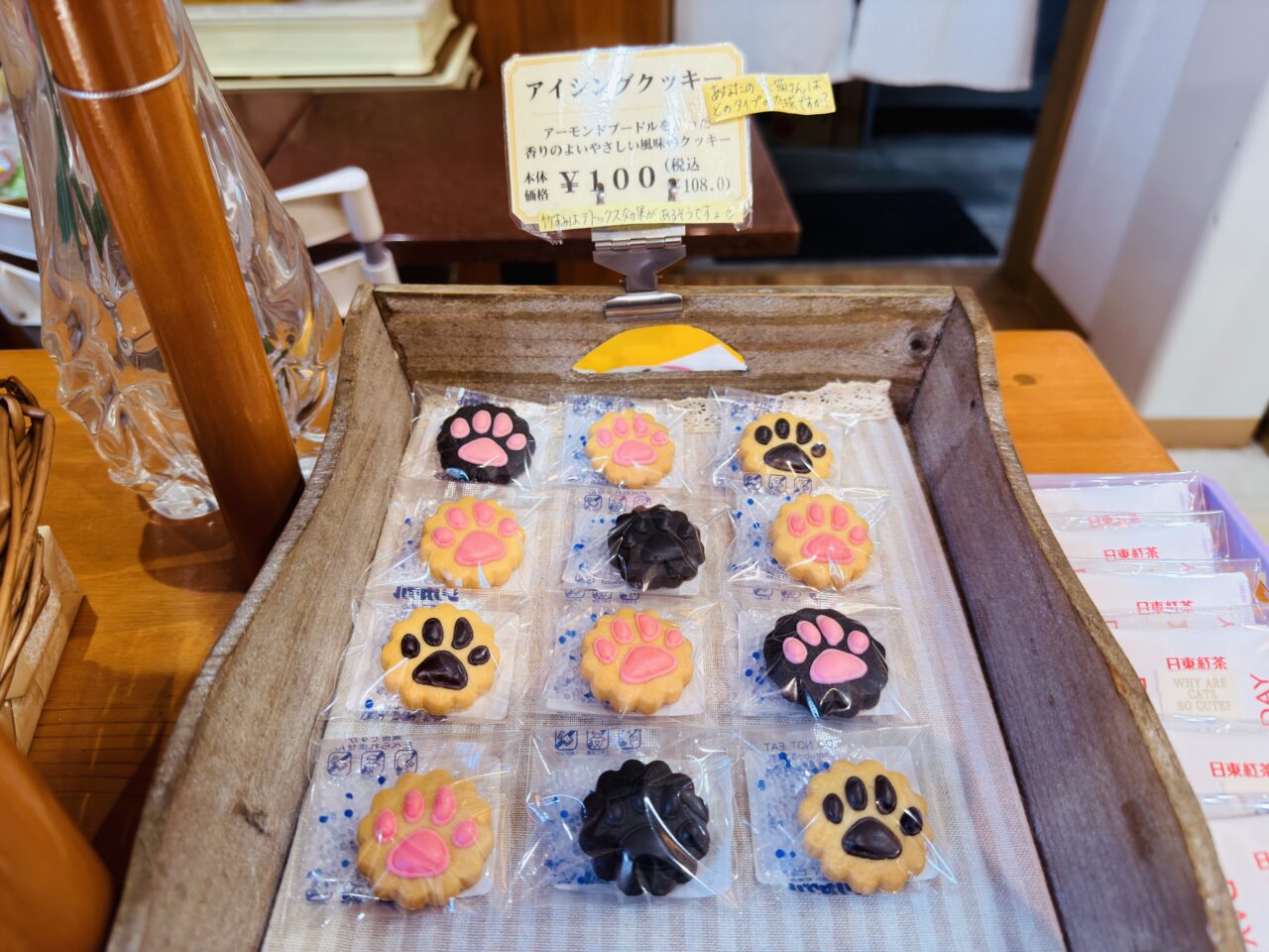 2026年2月22日猫の日のみやま市のふぉれすときゃっと