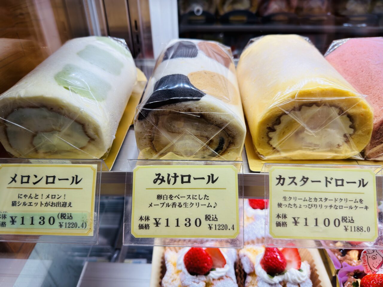 2026年2月22日猫の日のみやま市のふぉれすときゃっと