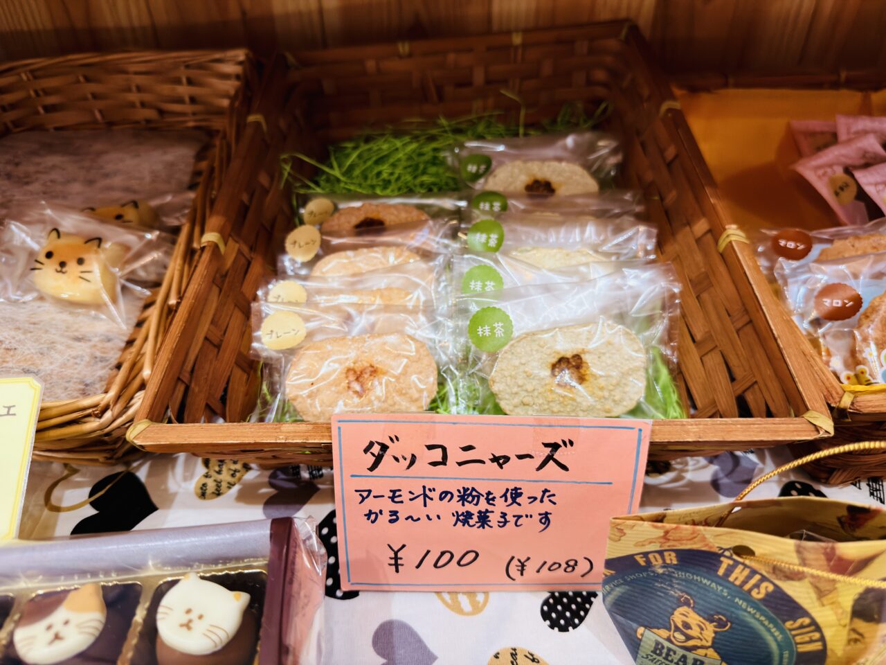 2026年2月22日猫の日のみやま市のふぉれすときゃっと