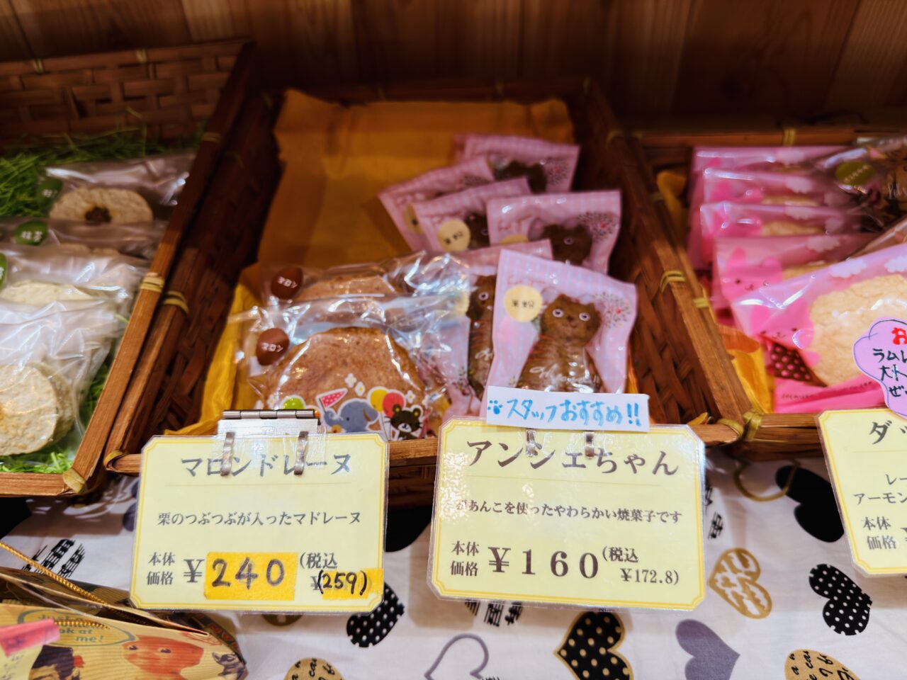 2026年2月22日猫の日のみやま市のふぉれすときゃっと