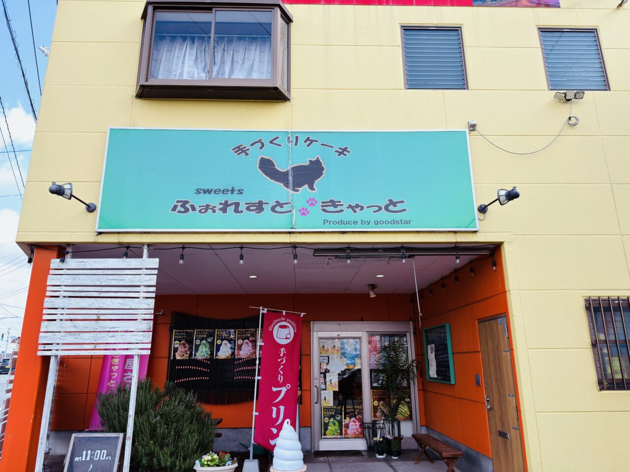 2026年2月22日猫の日のみやま市のふぉれすときゃっと