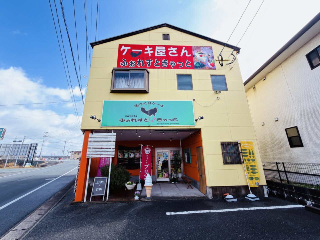 2026年2月22日猫の日のみやま市のふぉれすときゃっと