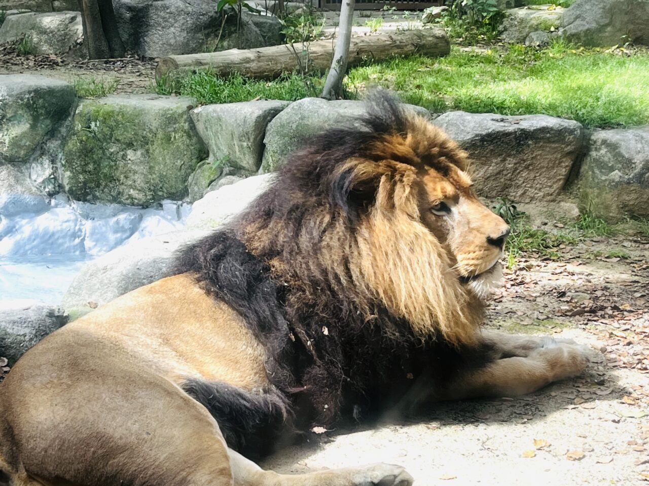 2026年大牟田ネーミングライツーパートナー施設